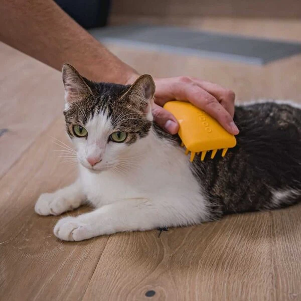 fiboo-miekka-3.webp