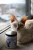 swieca-devon-1.webp