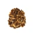 uniszki_becon-style-1024x1024.webp