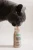 smoothie-cat-krolik2.webp