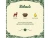Karma-mokra-Folk-sarnina4.webp