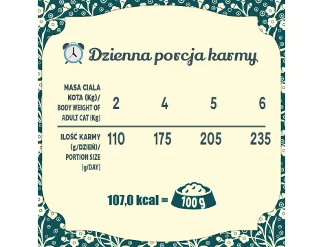 Saszetka-Folk-Kaczka6.webp