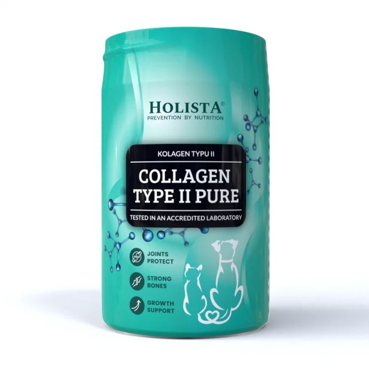 holista-collagen-type-ii-pure.webp