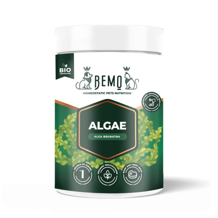 bemo-algae-alga-brunatna-dla-psa-i-kota.webp