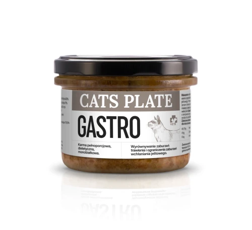 cats-plate-gastro.webp