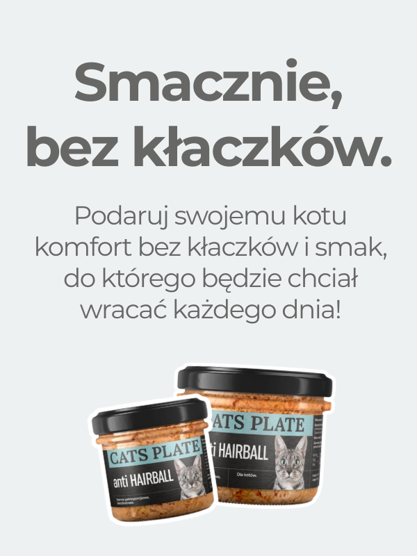 Kłaczki nie są nam straszne!