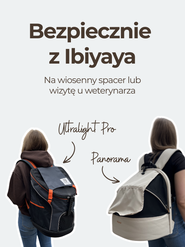 Bezpiecznie z Ibiyaya!